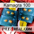 Kamagra 100 cialis5